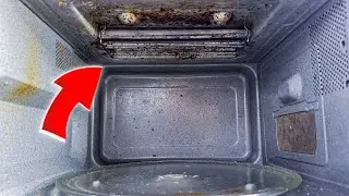 Manufacturers HIDE THIS SECRET! A cheap way to clean your microwave from FAT