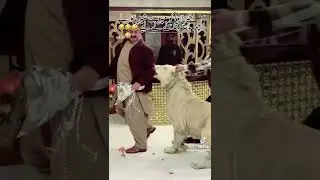 Yeh kaya hugya 🤣 #youtubeshorts #shortsfeed #shorts #shortsvideo #lahoredapawaakhtarlawa #lahoredap