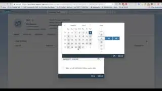How to maintain user logon data on SAP Launchpad