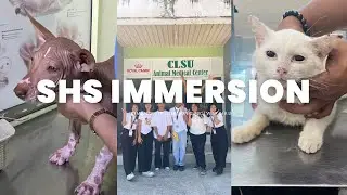 A Week In My Life ☀️ || shs work immersion, veterinary teaching hospital, STEM student 🐾🩺