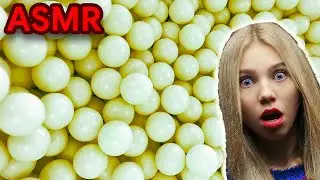 [ASMR] Bouncing Table Tennis Balls!