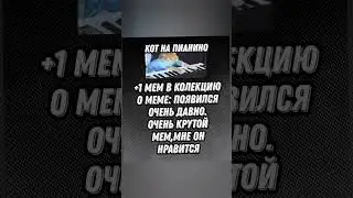яйцо с мемами  #яйцо #кот #мем #старий