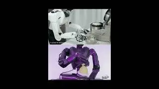 Astribot vs. Alex: Home Sweet Home or Industry Giant?