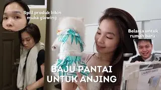 Beli Baju Pantai Untuk Anjing | Spill Produk Bikin Muka Glowing - Daily Vlog