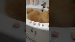 Юни наводит красоту