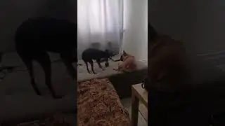 ну дай))
