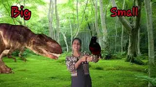 Big/small concept || with dinosaur, birds, elephant, mouse, ball, soft toys