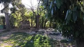 Zogcha from Hazrat
