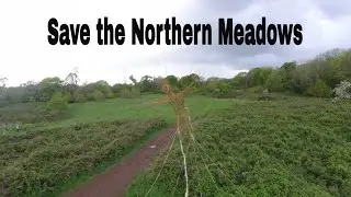 Save the Northern Meadows.wales