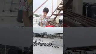 Jivdaya papa ne mummy ae sikhwadi karta 🙏🫶😘😍