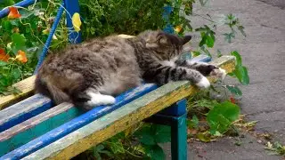 Котя спит - не кантовать: Жлобин, Юлия Андросова, 2024