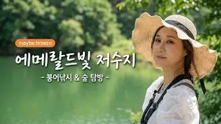 #붕어낚시 ep 번외편 4짜 붕어조사 메이비 되겠습니다아
