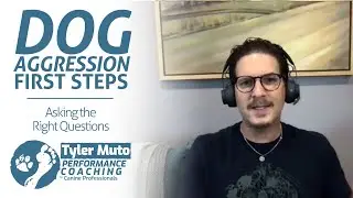 Dog Aggression First Steps | Asking the Right Questions