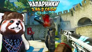 CS:GO С ПРАЙМОМ ДО ГЛОБАЛА, МЕНЯ ПОНИЗИЛИ? - КС ГО НАПАРНИКИ #39