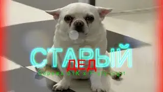 Fruty Jigit x Серёжа 01к - Старый дед / 01k, себек @00000000000001k / Серега Музыка Песня