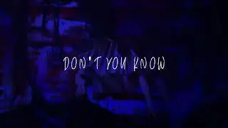 SHKHR & SNI - Don't You Know