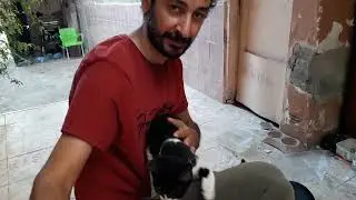 evde büyüttüğümüz kedilerimiz Zeyno Berduş ve Mino bir anı olsun