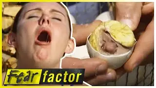 BREAKFAST of Champions & STILT Walking 🤮 | Fear Factor US | S03 E14 | Full Episodes | Thrill Zone