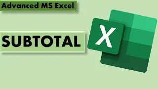Advanced Excel: Using Subtotal function