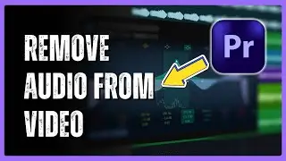 How to Remove Audio from Video in Premiere Pro (Simple Method)