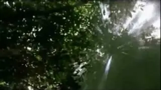 Godzilla Trailer (2014)