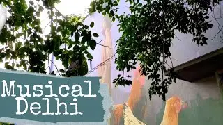 Musical Delhi