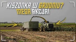 Kiszonka w GRUDNIU ?! ✔ Kukurydza na Kiszonkę 2020 ☆ 50km/h na Polu ☆ John Deere 7350 ✔ [TheKoledzy]