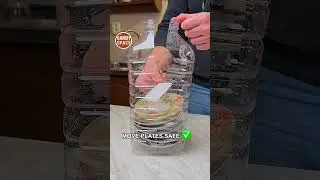 Transport Plates Safely and Securely! Lifehack with a Bottle! 