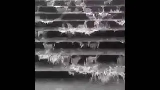 Субботний дождь