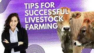 11 Tips for Successful Livestock Farming | Essential Strategies & Techniques