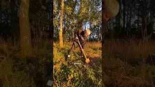 Коля Стравинский «Быть может». Релиз в эту пятницу! #поппанк #альтернатива