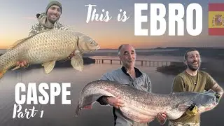Epic Big Catfish & Carp Fishing on the Ebro River 🎣 | CASPE Winter Session (Part 1)