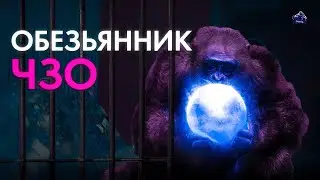 ОБЕЗЬЯННИК ЧЗО l STALCRAFT