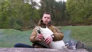 Енке ле, либе ле - Родопска народна песен, каба гайда, инструментал, Костадин Терзиев
