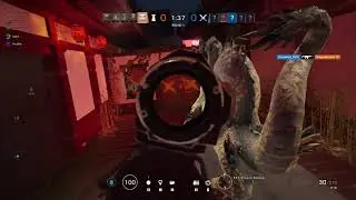 Tom Clancy's Rainbow Six® Siege Potato Aim  + Happy New Year