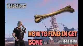 find in get BONE from fall forest | lifeafter bone