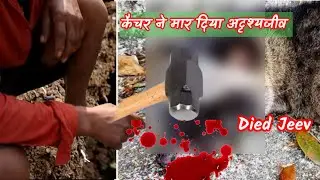 Catcher Caught Mysterious Jeev और मार दिया अदृश्यजीव  ! Solved mystery 🙏