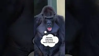 Когда завершу грудное вскармливание...