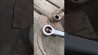 Nut separator