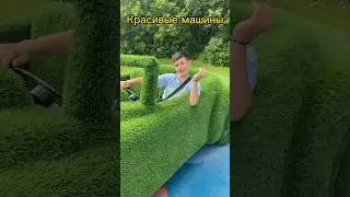 Мерседес и болид  Ф1