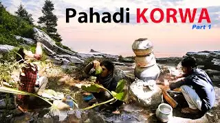Exploring the Hidden Lives of Pahari Korvas in the Mountains || पहाड़ी कोरवा #korwachhattisgarh