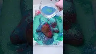 CLEANING SQUISHY ASMR💨💨Patrick Star