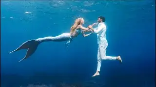 Le rêve d'une sirène