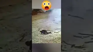 Respect⚡⚡⚡lucky electrician⚡⚡⚡