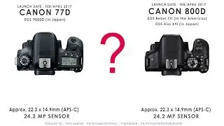 Canon 77D vs Canon 800D Detail Specs Comparison Review