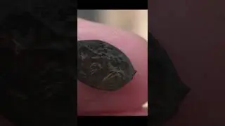 Нашел старинные монеты на дне реки! Поиск монет с металлоискателем под водой! #shortsvideo