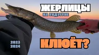 ЩУКА НА ЖЕРЛИЦЫ. УНДУГУН. Забайкальская рыбалка