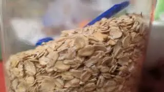 Is That A Bug In My Food?!? How Do I Prevent This?