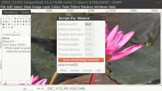 GIMP Filter Weave