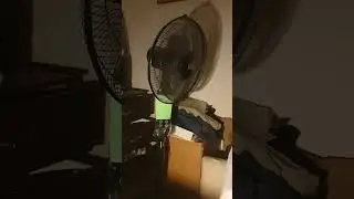 Aldi Easy Home pedestal fan